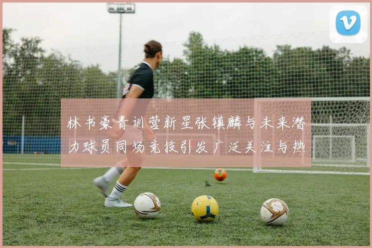 林书豪青训营新星张镇麟与未来潜力球员同场竞技引发广泛关注与热议